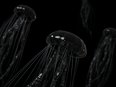 Jellyfish cinema4d jellyfish