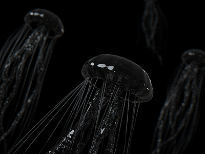 Jellyfish