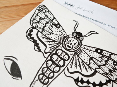 Working on a new book! book illustration insects sketch