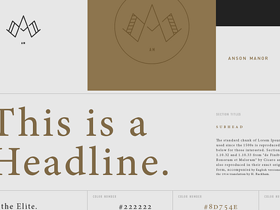 AM guide branding gold logo serif simple stamp system typography