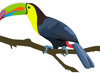 toucan vg