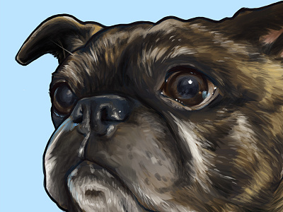 Steve Bepis digital digital paint dog paint painting pet photoshop portrait pug puggle tablet wacom