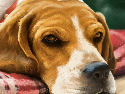 Molly animal beagle digital paint dog illustration painting pet portriat