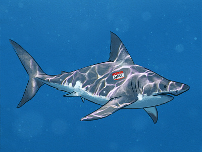 Hello, My name is digitalpaint greatwhite illustration ocean paint painting photoshop shark sharks tablet underwater