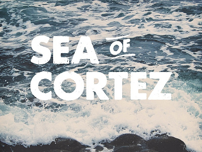Sea of Cortez album artwork cortez futura music ocean sea texture typography