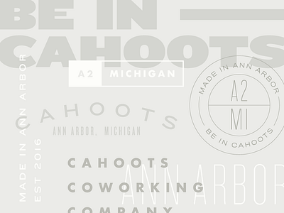 Cahoots Exploration branding cahoots focus lab identity michigan typography