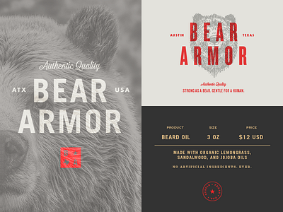 Bear Armor Typography bear branding drawing grizzly illustration logo typography