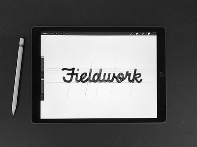 Fieldwork Logotype Sketch focus lab hand lettering procreate script service sketch typography