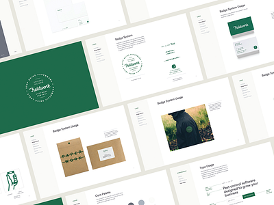Fieldwork Brand Guidelines brand identity branding focus lab guidelines hand lettering icon logo packaging script style guide typography