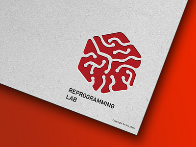 Reprogramming lab logo Design brand identity branding business logo design illustration latter logo logo typography unique logo vector