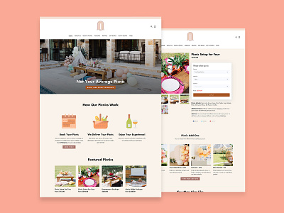 Not Your Average Picnic Shopify Website design e commerce shopify web web design website design