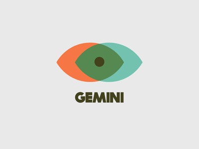 Gemini Identity Concept brand identity product