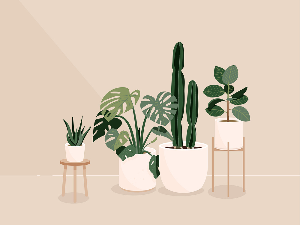 Browse thousands of Plant images for design inspiration | Dribbble