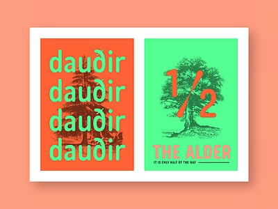 The Dead and Alder branding clean display headline lettering logo magazine poster publication round sans serif typeface