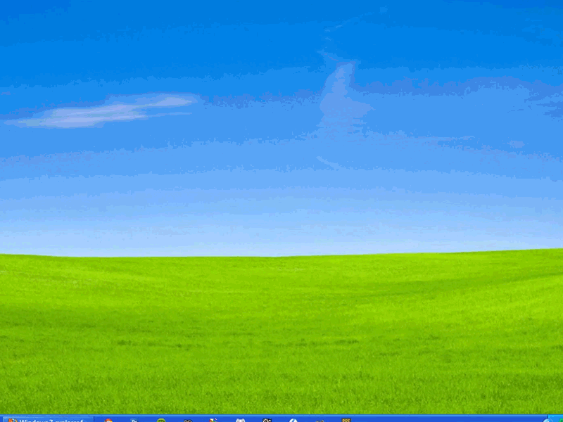 Alpaca in Windows XP animation cover graphic design motion graphics retro windows