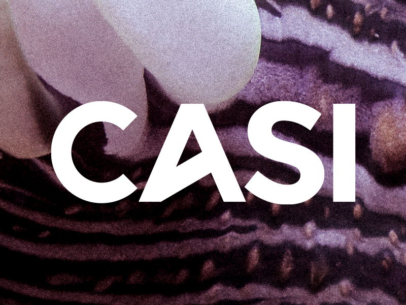 CASI - Assessing Sustainable Innovation - Branding branding ci logotype