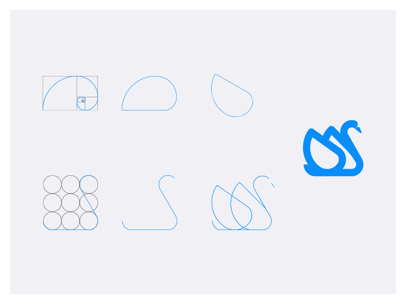 Logotype structure brand vector bird swan estructure golden ratio ci identity logo logotype