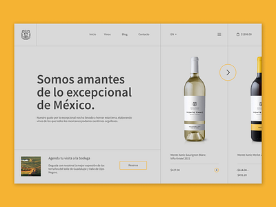 Monte Xanic wine shop concept branding design e commerce store ui web winde