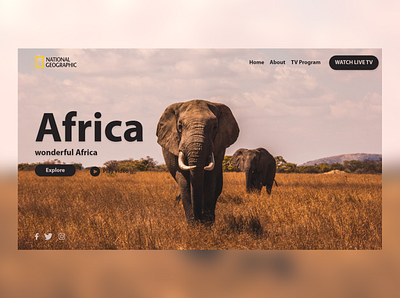 National Geographic concept design elephant national geographic web