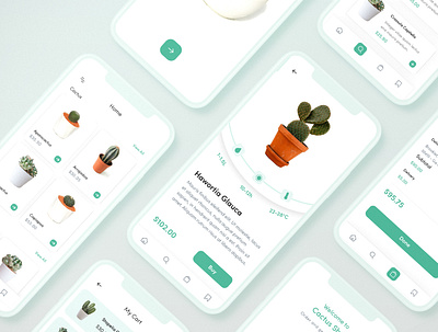 Cactus Shop app cactus design online shop ui ux uxui