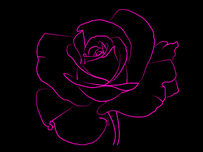 Rose line art