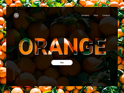 Главный экран сайта компании по экспорту апельсинов branding design landingpage minimal ui web website вебдизайн сайт
