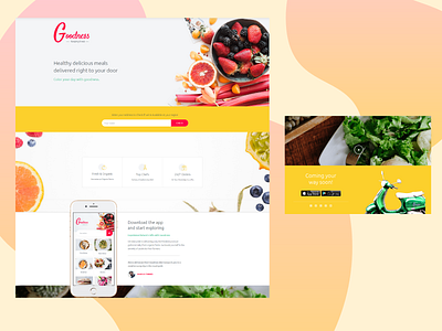 Food Ordering App Website Concept