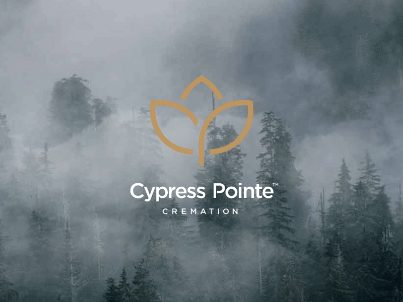 Cypress Pointe Logo Animation cypress design gold green logo type