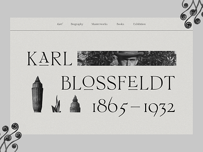 Karl Blossfeldt website concept art blossfeldt concept design karl ui ux website work