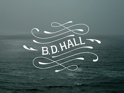 Bryan David Hall Logo branding handdrawn lettering logo maker photography scroll videography