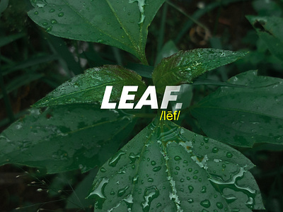 LEAF