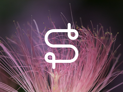 S Logo logo monogram s silk silk tree simple