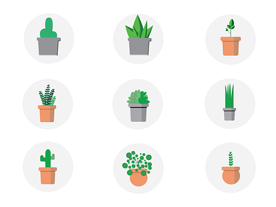 Succulent/plant icons illustrator plants succulent vectors