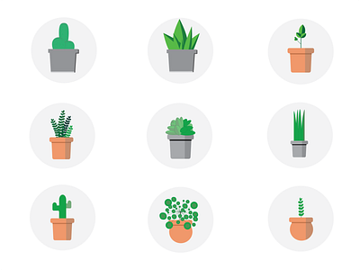 Succulent/plant icons