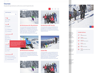 Skiing website buttons filters homepage online ski skiing sports tickboxes typography website winter
