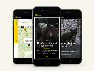 National Geographic - A Bear's-Eye View of Yellowstone 3d bears hello monday map mobile nat geo national geographic simple