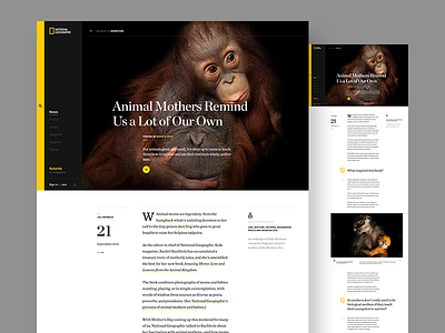 Nat Geo - Article article page editorial nat geo national geographic simple ui ux yellow