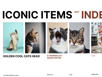 Cool Cats graphic design ui