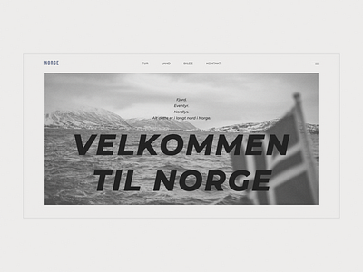 Norge — website design concept clean design flat minimal ui ux webdesign