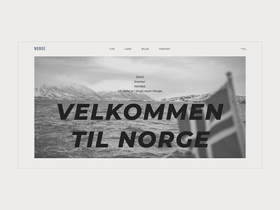 Norge — website design concept