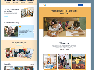 School Website design education school schoolwebsite ui ux webdesign website