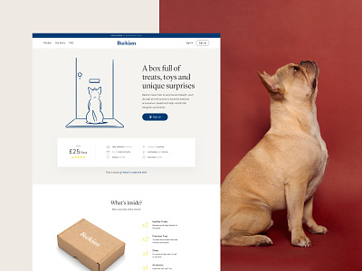 Barkism box clean design dog e-commerce subscription typography ui ux web