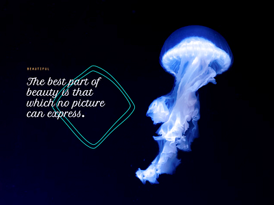 Jellyfish design quarkly react web