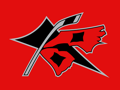 Carolina Hurricanes branding design graphic design logo vector