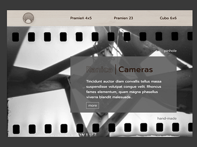 Website design of pinhole cameras landing ui ux ui web ux web webdesign website