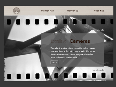 Website design of pinhole cameras