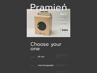 Website design of pinhole cameras ui ux ui web figma web site webdesign website