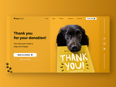 DailyUI #77 - Thank you page adobexd daily 100 challenge dailyui dailyuichallenge figma thank you thank you page ui ux ui design uidesign uiux uxdesign web design webdesign website website design
