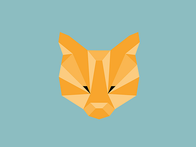 Kitty animal cat geometric