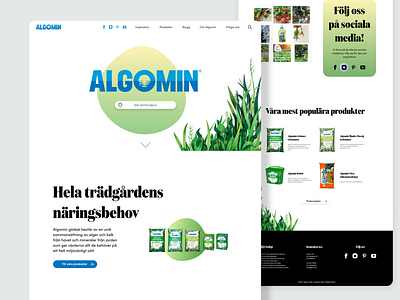 Algomin | Web design